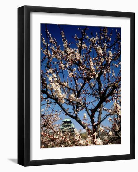 Plum Blossoms & Osaka Castle, Japan-null-Framed Photographic Print