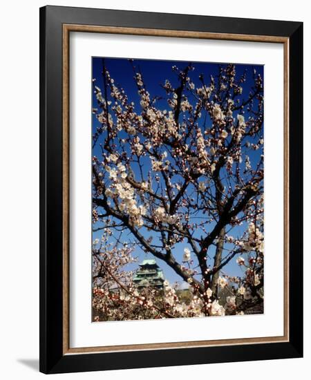 Plum Blossoms & Osaka Castle, Japan-null-Framed Photographic Print