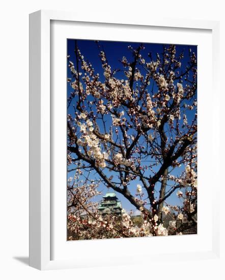 Plum Blossoms & Osaka Castle, Japan-null-Framed Photographic Print