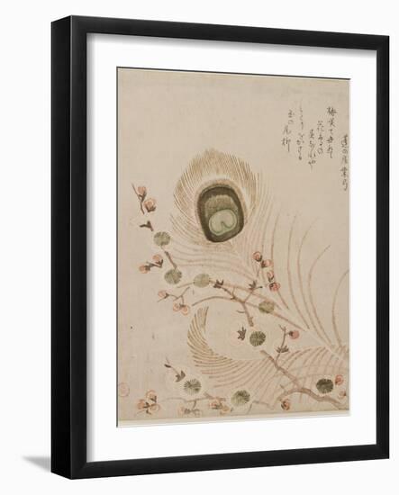 Plum Branch and Peacock Feathers, Mid to Late 1810s-Kubo Shumman-Framed Giclee Print