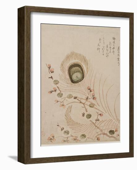 Plum Branch and Peacock Feathers, Mid to Late 1810s-Kubo Shumman-Framed Premium Giclee Print
