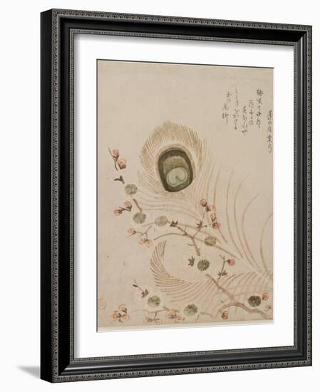 Plum Branch and Peacock Feathers, Mid to Late 1810s-Kubo Shumman-Framed Premium Giclee Print