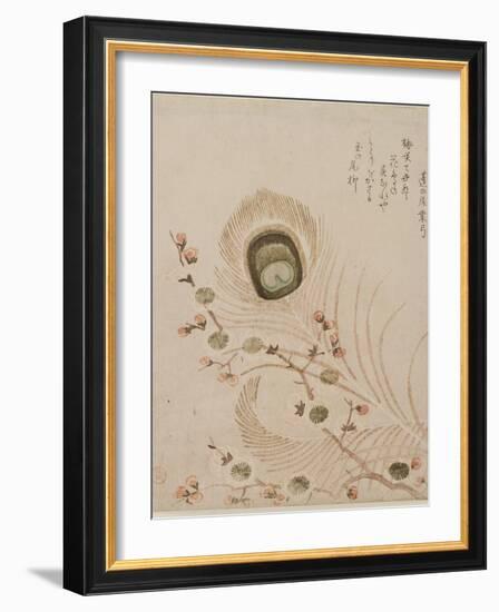 Plum Branch and Peacock Feathers, Mid to Late 1810s-Kubo Shumman-Framed Premium Giclee Print