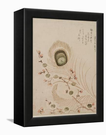 Plum Branch and Peacock Feathers, Mid to Late 1810s-Kubo Shumman-Framed Premier Image Canvas