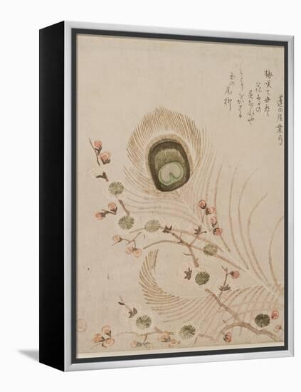 Plum Branch and Peacock Feathers, Mid to Late 1810s-Kubo Shumman-Framed Premier Image Canvas