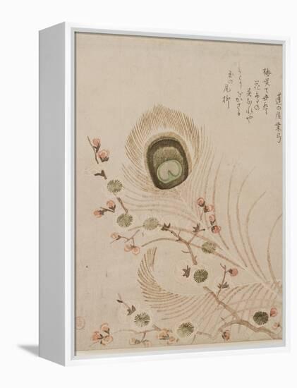 Plum Branch and Peacock Feathers, Mid to Late 1810s-Kubo Shumman-Framed Premier Image Canvas