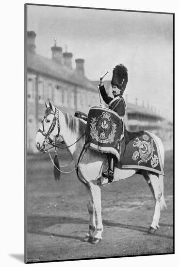 Plum Duff, the Drum-Horse of the Royal Scots Greys, 1896-Gregory & Co-Mounted Giclee Print