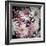 Plum Florals-Kathy Mansfield-Framed Photographic Print