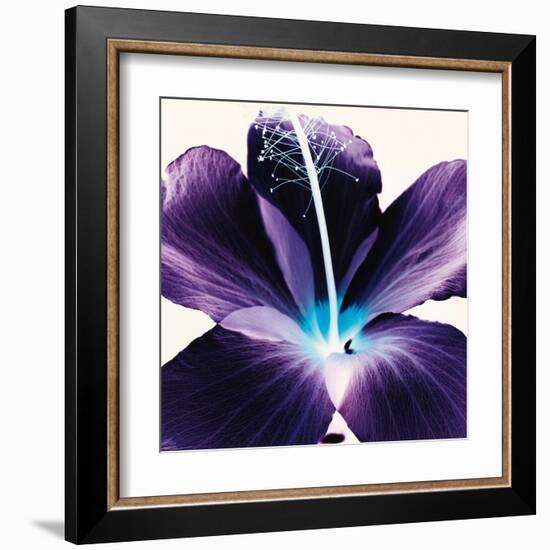 Plum Hibiscus-Christine Caldwell-Framed Art Print