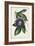 Plum Passion Flower-Paxton-Framed Art Print