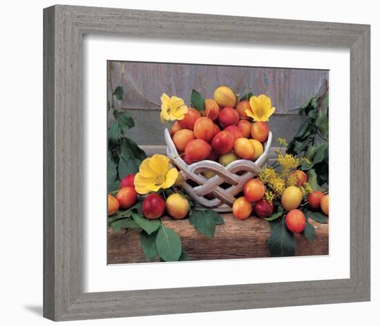 Plum Still Life-null-Framed Art Print