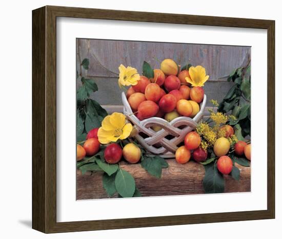 Plum Still Life-null-Framed Art Print