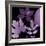 Plum Sunprint Leaves-Dan Zamudio-Framed Art Print