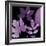 Plum Sunprint Leaves-Dan Zamudio-Framed Art Print