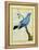 Plum-Throated Cotinga-Georges-Louis Buffon-Framed Premier Image Canvas