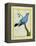 Plum-Throated Cotinga-Georges-Louis Buffon-Framed Premier Image Canvas