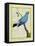 Plum-Throated Cotinga-Georges-Louis Buffon-Framed Premier Image Canvas