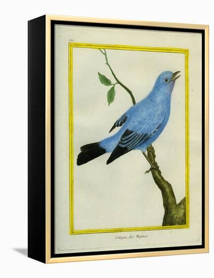 Plum-Throated Cotinga-Georges-Louis Buffon-Framed Premier Image Canvas