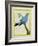 Plum-Throated Cotinga-Georges-Louis Buffon-Framed Giclee Print