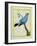 Plum-Throated Cotinga-Georges-Louis Buffon-Framed Giclee Print