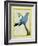 Plum-Throated Cotinga-Georges-Louis Buffon-Framed Giclee Print