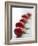 Plum Tomatoes in a Row-Martina Schindler-Framed Photographic Print