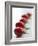 Plum Tomatoes in a Row-Martina Schindler-Framed Photographic Print
