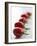 Plum Tomatoes in a Row-Martina Schindler-Framed Photographic Print