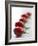 Plum Tomatoes in a Row-Martina Schindler-Framed Photographic Print