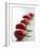 Plum Tomatoes in a Row-Martina Schindler-Framed Photographic Print