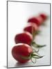 Plum Tomatoes in a Row-Martina Schindler-Mounted Photographic Print