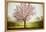 Plum Tree Blossoms In Sonoma County-Ron Koeberer-Framed Premier Image Canvas