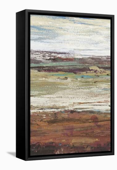 Plum Vista II-Tim OToole-Framed Stretched Canvas