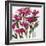 Plum Wild Flowers-Jane Slivka-Framed Art Print