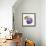 Plum-Kristin Emery-Framed Stretched Canvas displayed on a wall