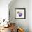 Plum-Kristin Emery-Framed Art Print displayed on a wall