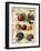 Plum-Kate Ward Thacker-Framed Giclee Print