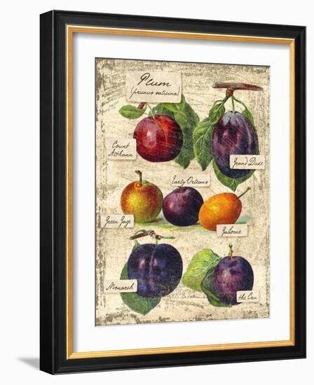 Plum-Kate Ward Thacker-Framed Giclee Print