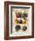 Plum-Kate Ward Thacker-Framed Giclee Print