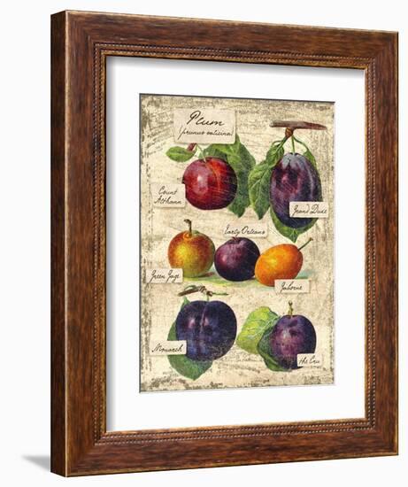 Plum-Kate Ward Thacker-Framed Giclee Print