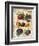 Plum-Kate Ward Thacker-Framed Giclee Print