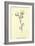 Plumbunnia Nutritiosa-Edward Lear-Framed Giclee Print