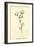 Plumbunnia Nutritiosa-Edward Lear-Framed Giclee Print