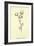 Plumbunnia Nutritiosa-Edward Lear-Framed Giclee Print