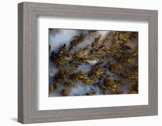 Plume Agate, Sammamish, Washington State-Darrell Gulin-Framed Photographic Print