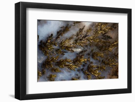 Plume Agate, Sammamish, Washington State-Darrell Gulin-Framed Photographic Print