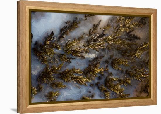 Plume Agate, Sammamish, Washington State-Darrell Gulin-Framed Premier Image Canvas