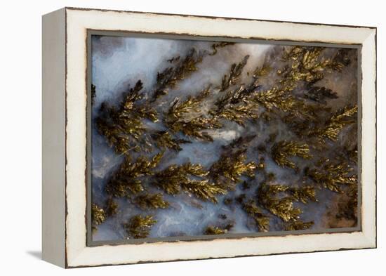 Plume Agate, Sammamish, Washington State-Darrell Gulin-Framed Premier Image Canvas