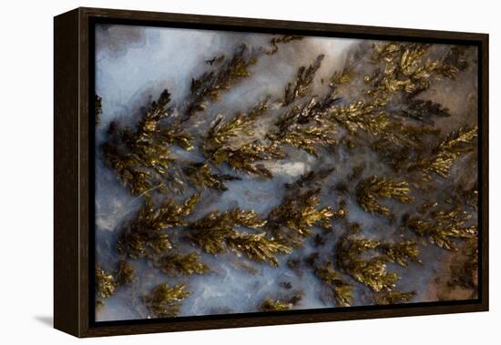 Plume Agate, Sammamish, Washington State-Darrell Gulin-Framed Premier Image Canvas