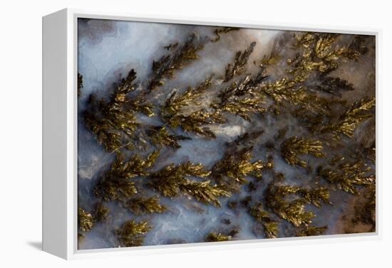 Plume Agate, Sammamish, Washington State-Darrell Gulin-Framed Premier Image Canvas